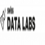 Swiss Data Labs logo