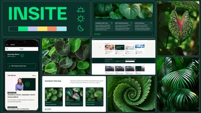 INSITE - Branding y posicionamiento de marca