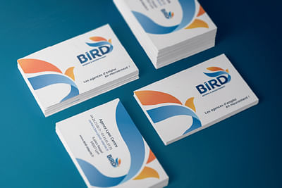 BIRD INTÉRIM // Identité et site internet - Image de marque & branding