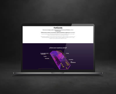 Desarrollo tecnológico e-commerce - Web Application