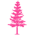 Pink Pine Media logo