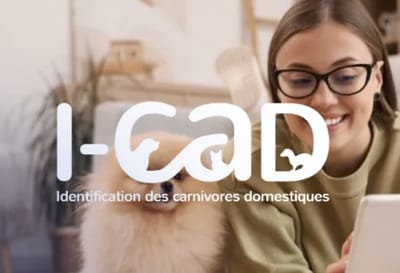 Cas client : I-Cad x Junto - Reclame