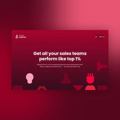 Landing page pour SalesHunter - Image de marque & branding