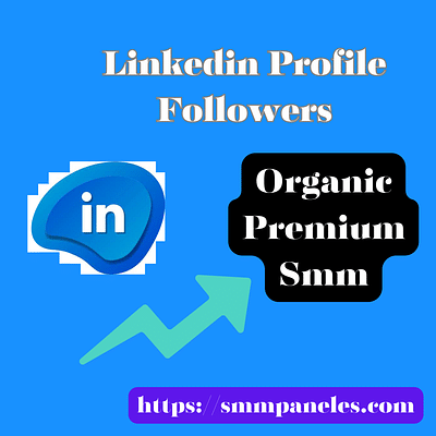 Linkedin Profile Followers - Growth Marketing