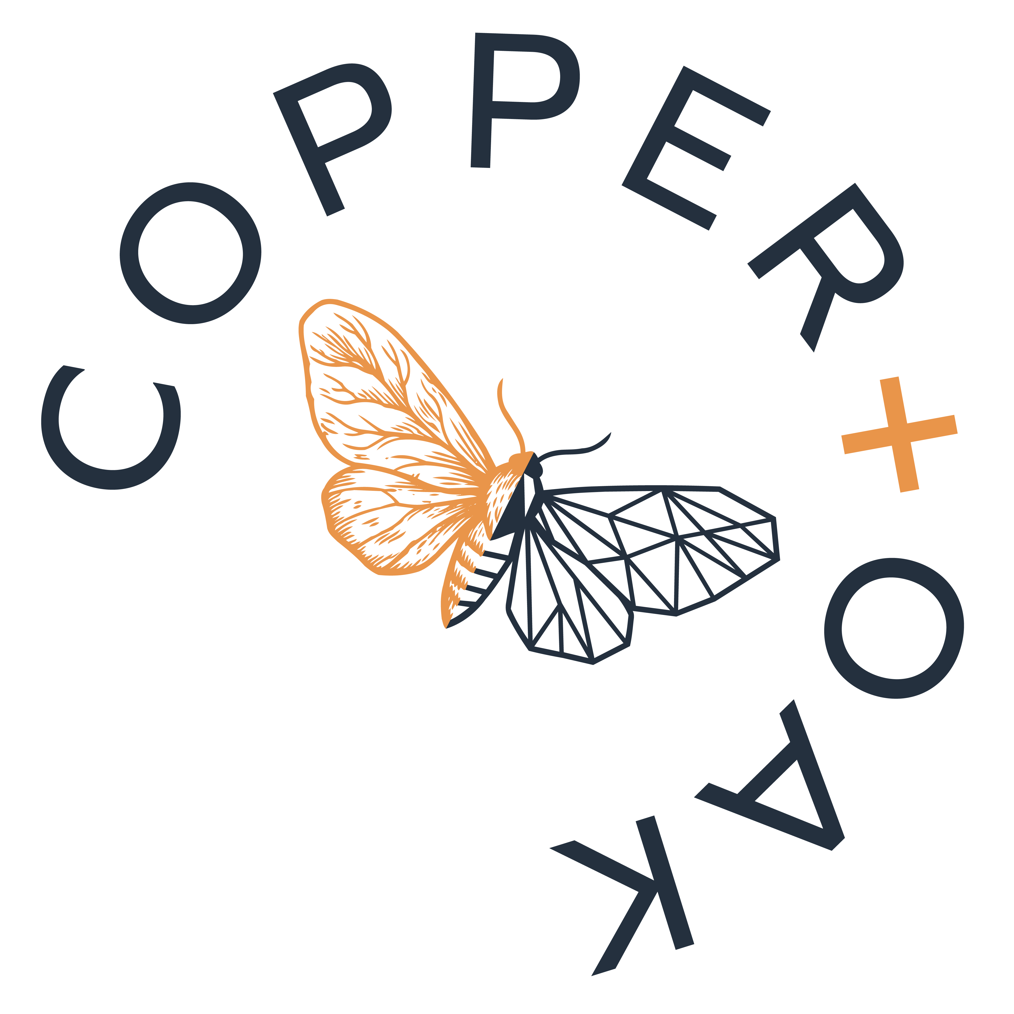 Copper+Oak Studio