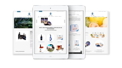 CASA DE ALBA - Website Creatie