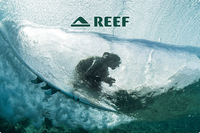Migration of REEF Footwear to Shopify with XL-ENZ - E-commerce