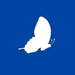 Zaahi Studios