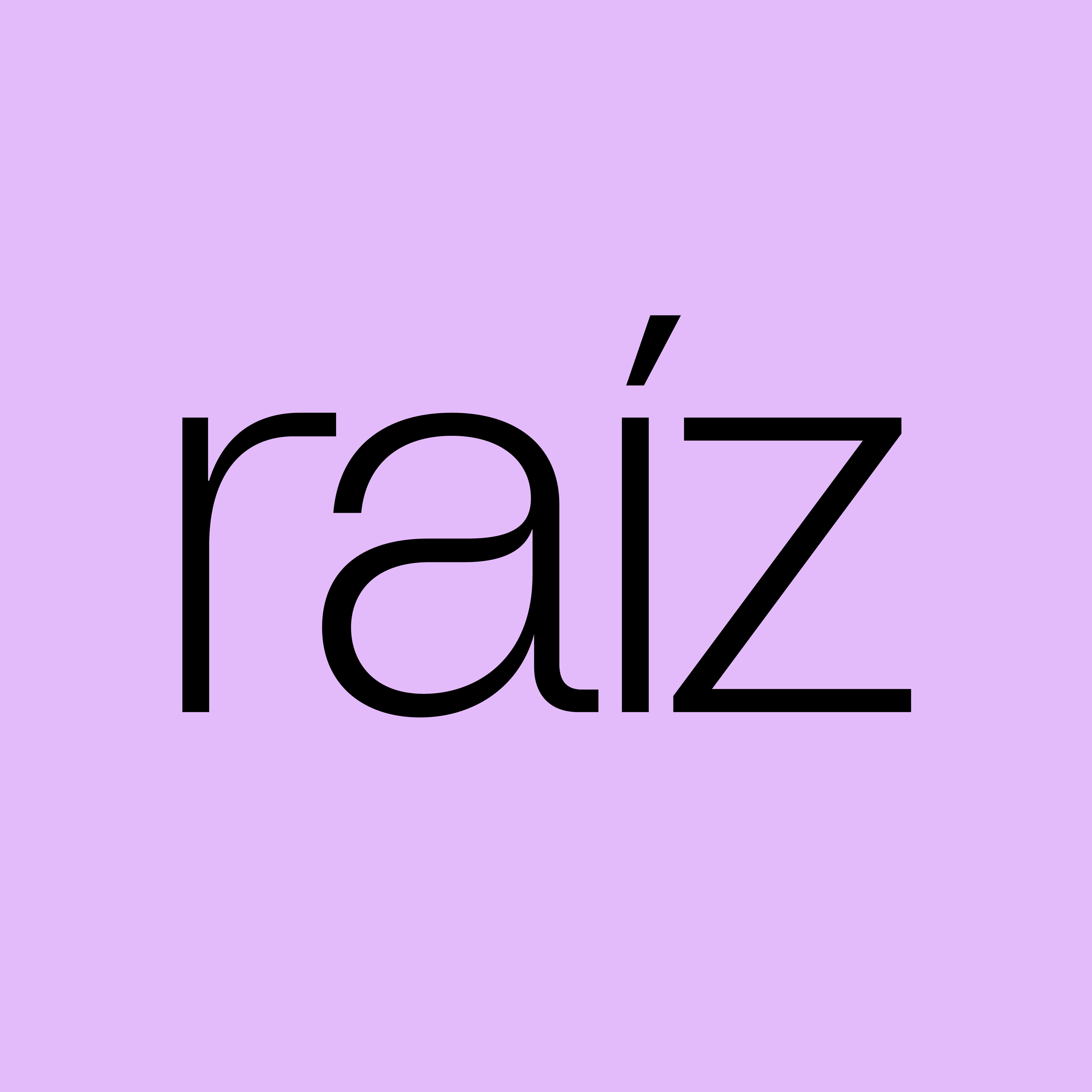 Raíz Studio