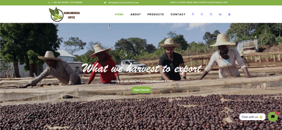 Michicha Coffee Exporting Company Website Design - Website Creation