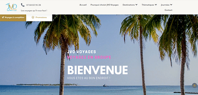 Refonte site agence de voyages et référencement - Creación de Sitios Web