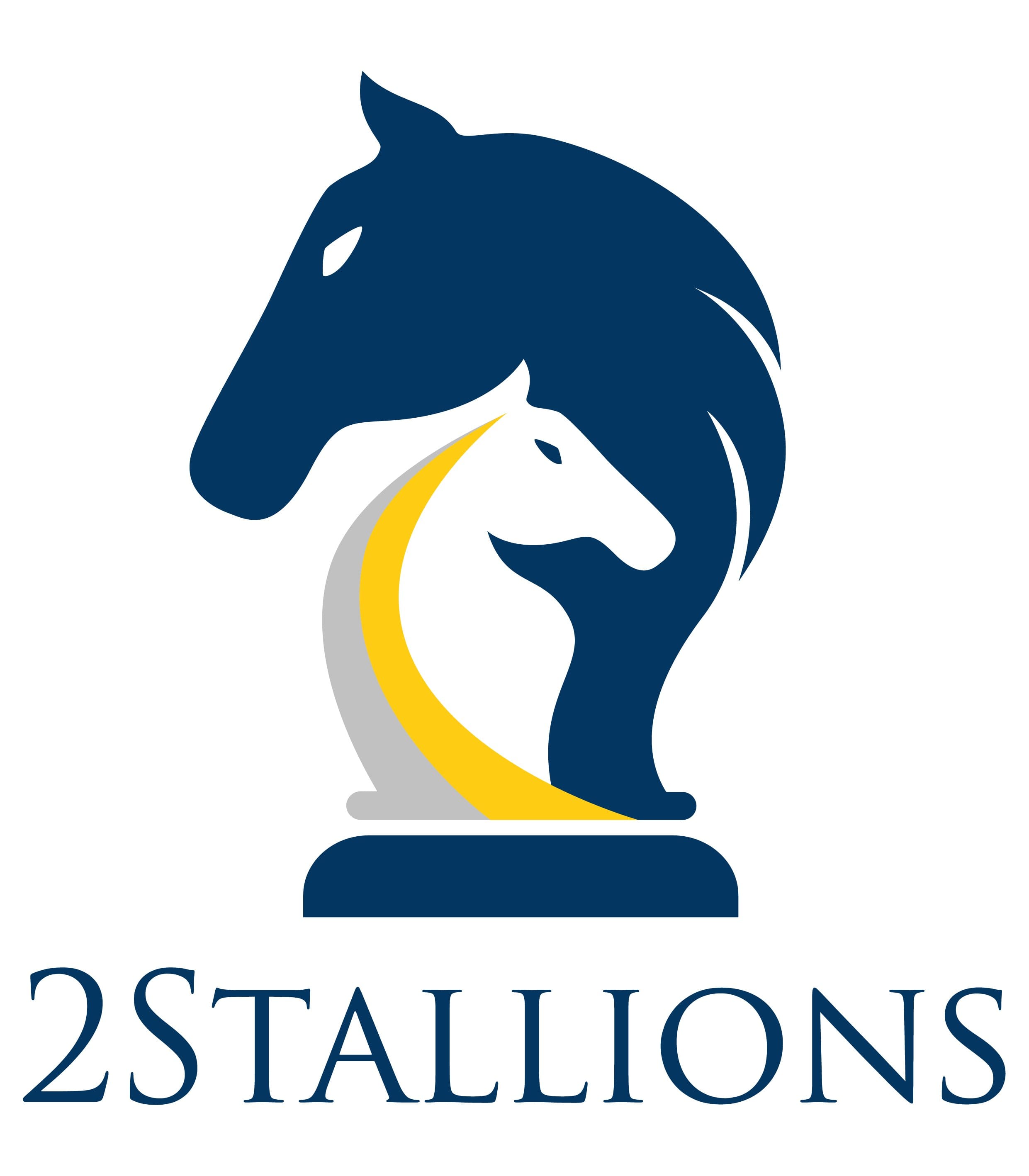 2Stallions Digital Marketing Agency