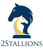 2Stallions Digital Marketing Agency logo