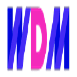 WDM Agency : Performance Marketing For E-commerce