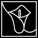 Noya Designs