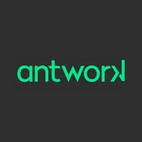 Antwork - Online Advertising