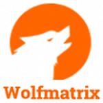 Wolfmatrix Software Development Company