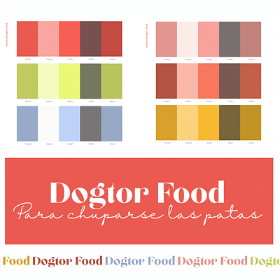 Dogtorfood - Branding & Positioning