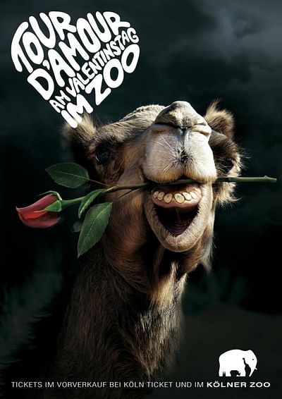 Knight of the Roses, Camel - Werbung