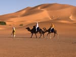 Sahara Desert Kingdom logo