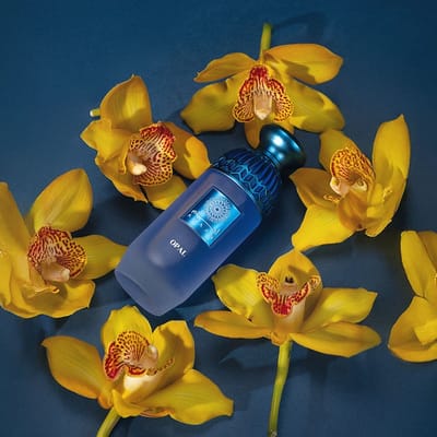 Ayaam Perfume - Estrategia digital