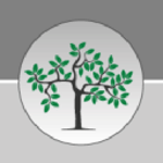 Branch Out Marketing & Website Design