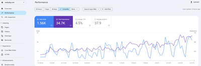 SEO For a Rebranded and Changed Domain Company - SEO