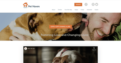 PetHavenmn.org: Custom Rescue & Adoption Platform Development - Graphic Design