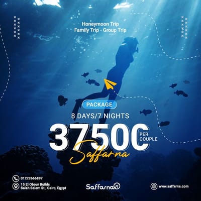 Saffarna Travel Agency _ Social Media Management - Réseaux sociaux