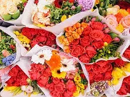 Bloemenbureau Holland - Website - E-commerce
