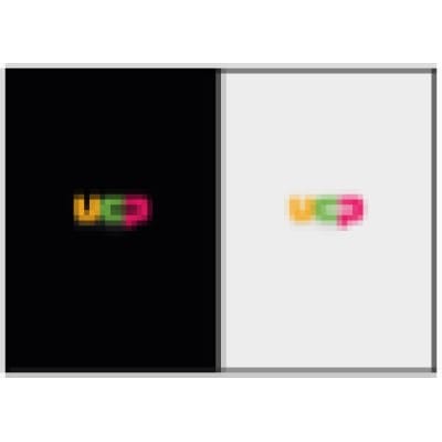 United Communications Partners Inc