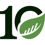 BusySeed logo