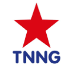 The No Nonsense Group logo
