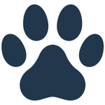 Best For Pets
