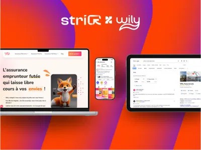 Wily Assurances - Création de site internet