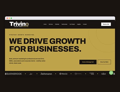 Trivino Marketing – premium B2B website replacing a Wix site - Creación de Sitios Web