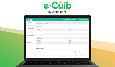 eCUIB for World Bank, Deinstitutionalization Syst - Ergonomie (UX/UI)
