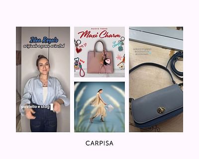 Caprisa - Influencer Campaign Spring 2025 - Influencer Marketing