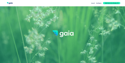 Site Vitrine & Publicité en ligne (Google Ads) - Onlinewerbung