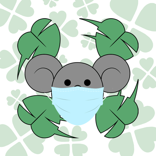 Lucky Koala