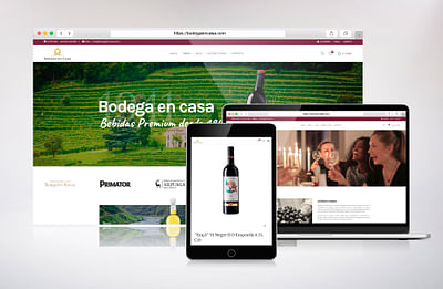Página web para venta de bebidas premium - E-commerce