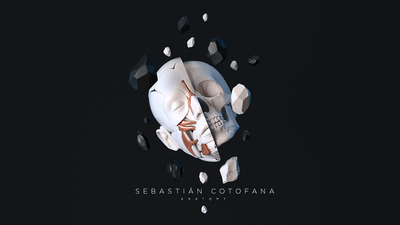Sebastian Cotofana Anatomy - Branding & Positioning