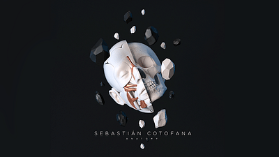 Sebastian Cotofana Anatomy - Image de marque & branding