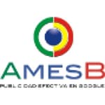 Posicionamiento Web Barcelona AmesB logo