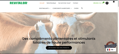 Gestion Boutique E-commerce - E-commerce