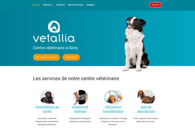 Développement de la présence en ligne d'un centre vétérinaire - Stratégie digitale