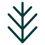 Spruce Creative