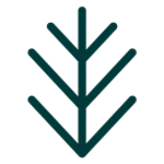 Spruce Creative