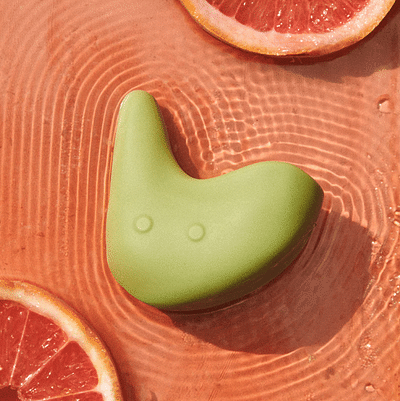 Packaging Design and Name for the KIWI - Packaging