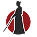 iRonin.IT - Software House logo